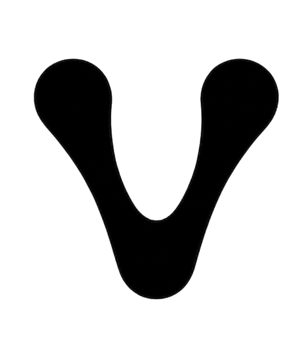 Project Vault